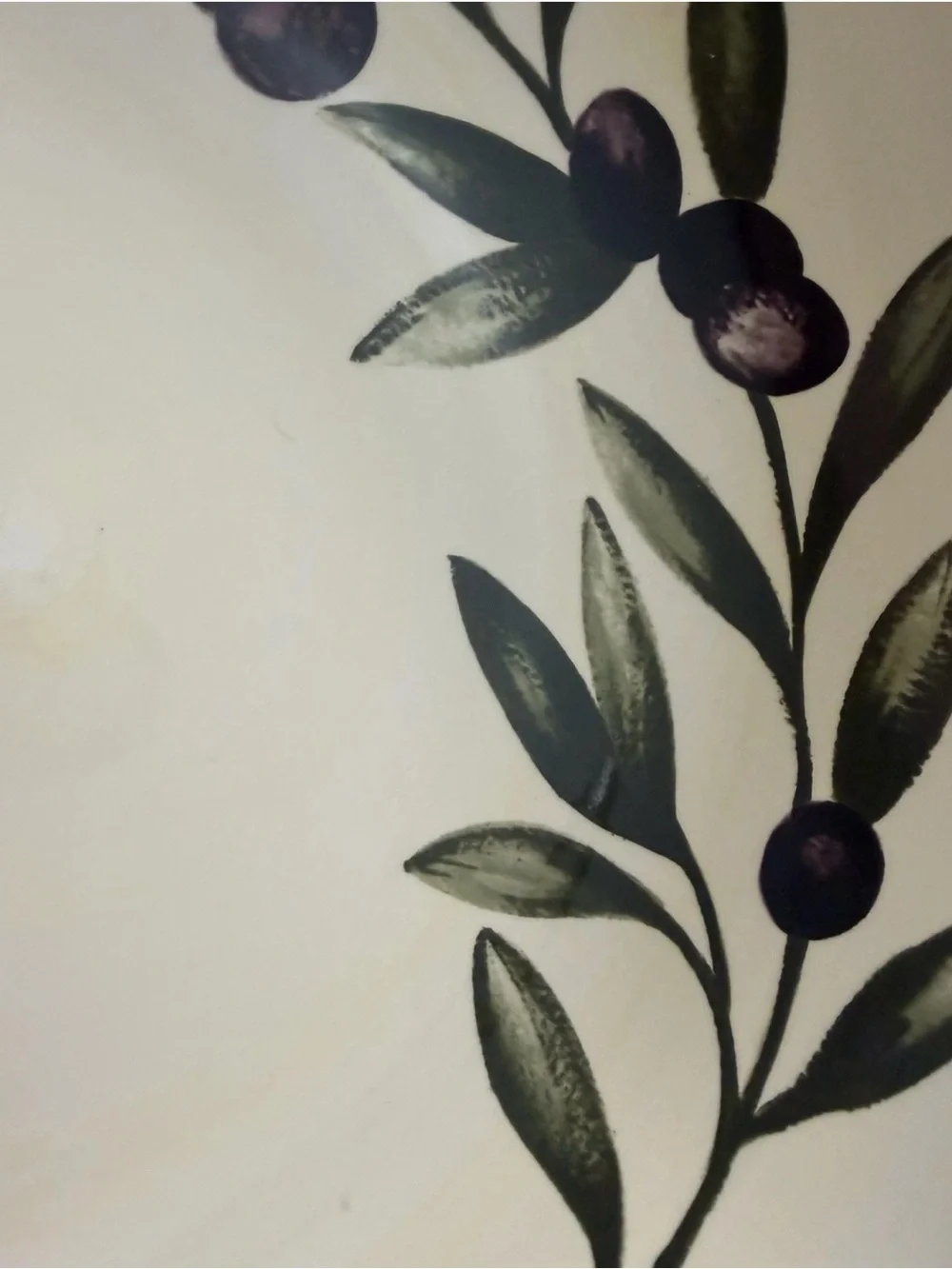 Williams Sonoma Liguria Black Olive 13